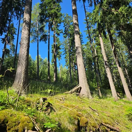 Maršovák