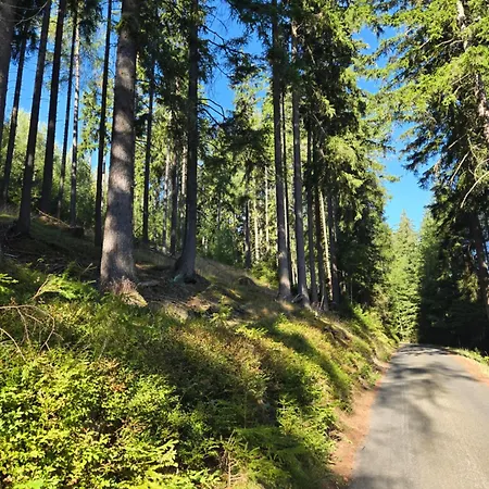 Maršovák Horní Maršov