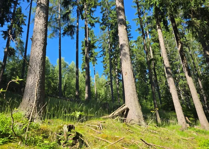 Marsovak